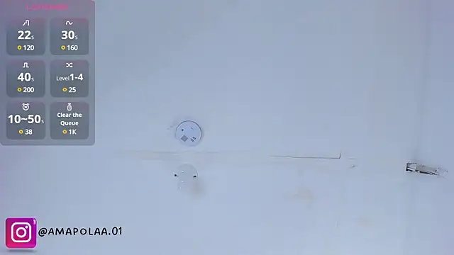 _Dama_amapola webcam