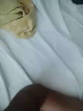 milivoja webcam