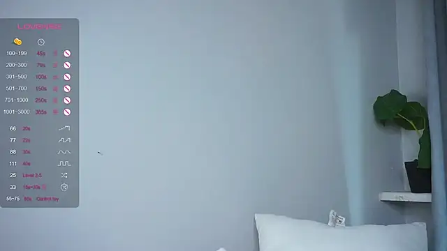 PetulaDry webcam