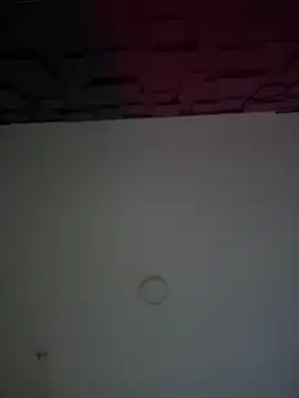 porn web cam online Miss-Salome