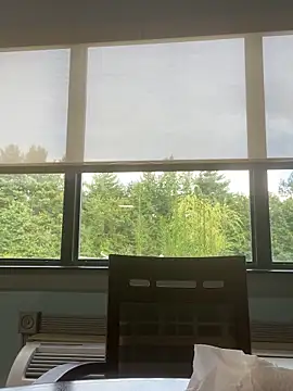 Tristris100 webcam