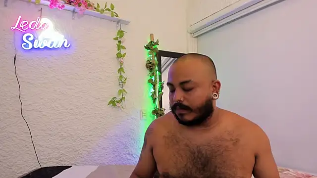 leda_swan webcam