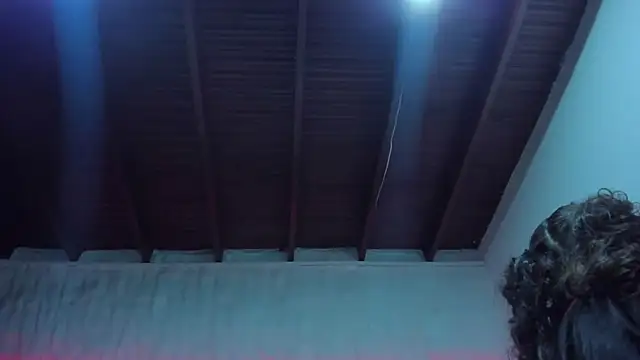 Zophy_Evans_ webcam