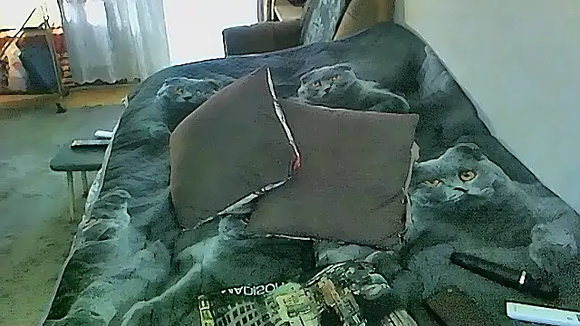 sex2 webcam