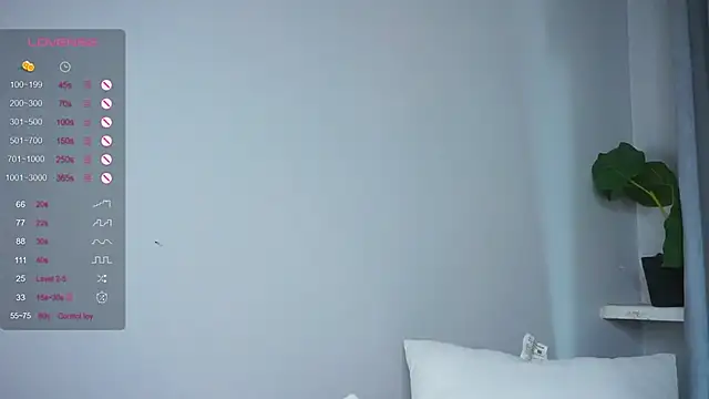 PetulaDry webcam
