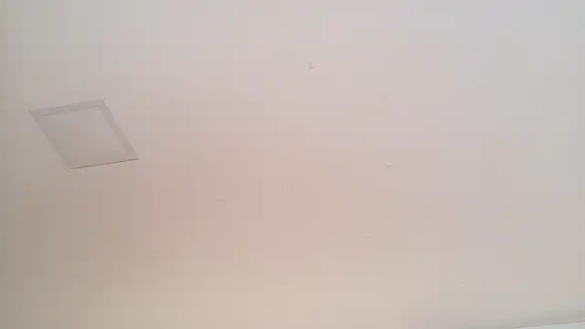 AbbyWathson webcam