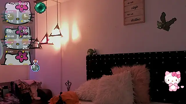 meow_mota webcam