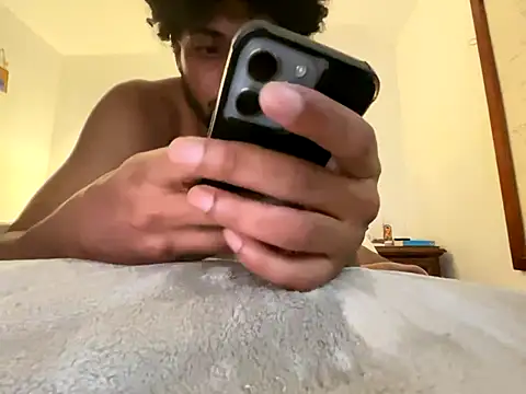 Laboriyeldomi webcam