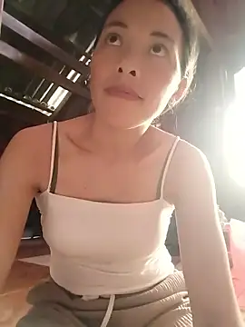 bes53 webcam