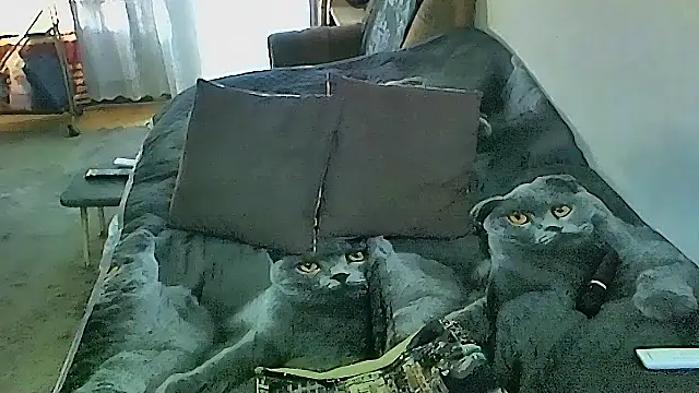 sex2 webcam