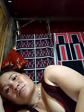 muisiet webcam