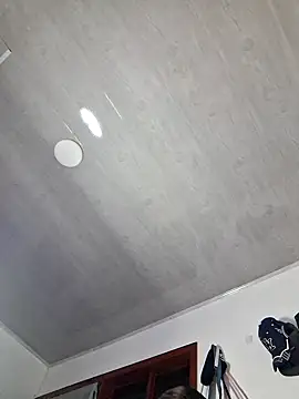 Emily_Lx webcam