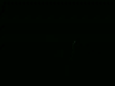 michel_sc webcam