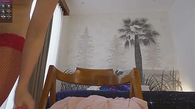 Timissi webcam