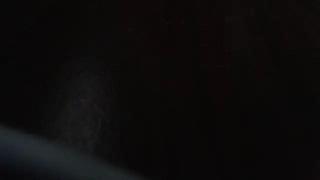hairyandtiny webcam