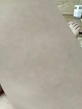 -sansan- webcam