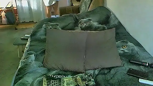 sex2 webcam