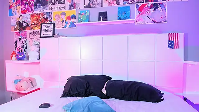 SheepyBoyx webcam