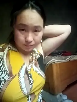 maihobe webcam