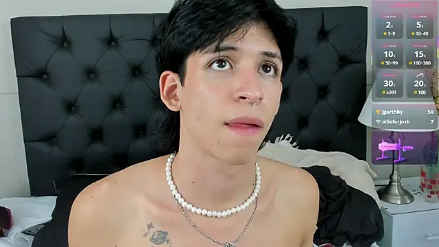 karl_brunni webcam