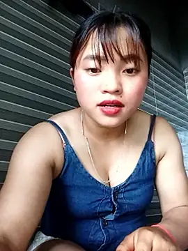 tdtd44 webcam