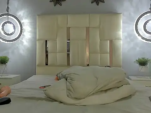 BryCams3 webcam