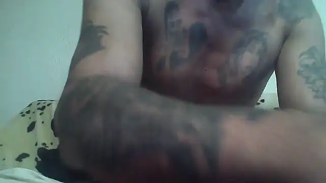 Zgodanilep webcam