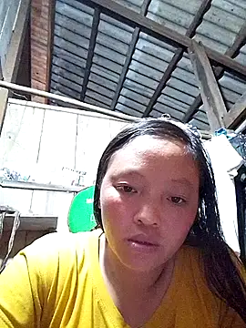 Lvmm1 webcam