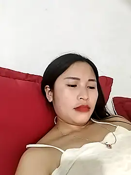 maiphi webcam