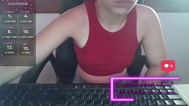 aprendizdsumisa webcam