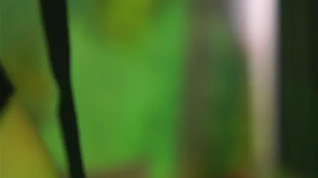 CarlaGavin webcam