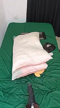Sweety-Cat webcam