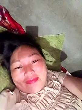sbe54 webcam