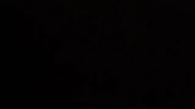 nicebrown webcam