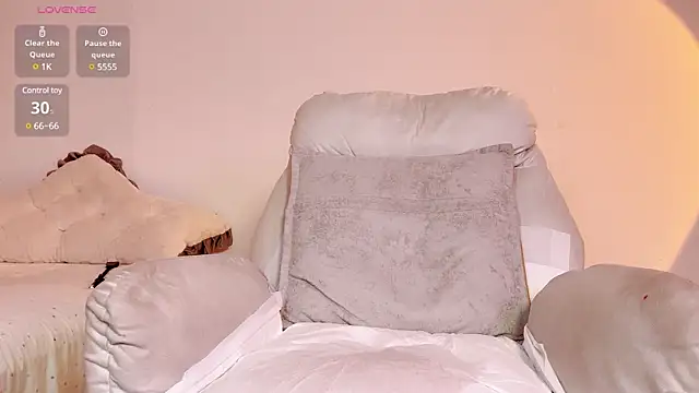 BoxedGyre- webcam
