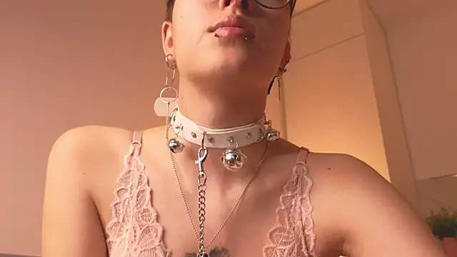 metalpaece webcam
