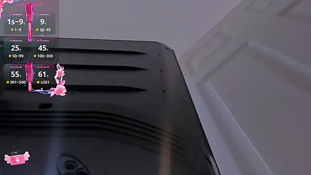 hinata_dolly webcam