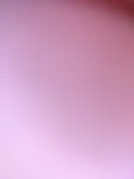 zhenzhen521 webcam