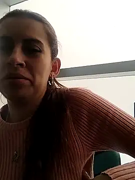 VidiaStons webcam