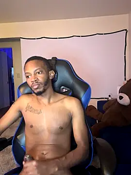 MJThirdLeg webcam