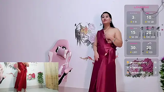 alinmeng webcam