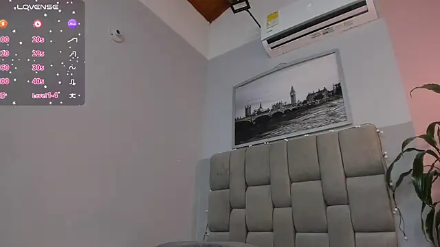 dyvis_22 webcam