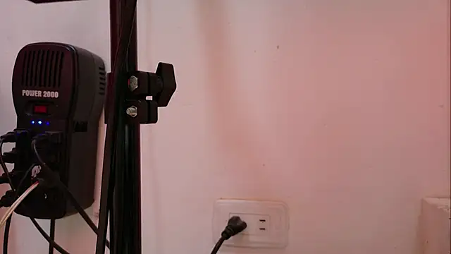 AliceandMax webcam