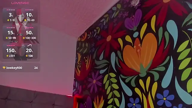 Eva-Delfi webcam