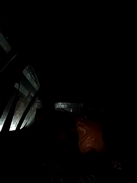 coocon2020 webcam