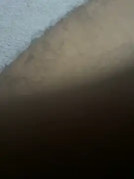 Alex__RM webcam