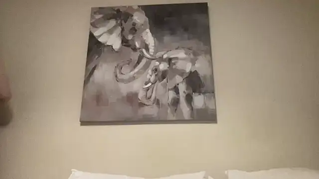 dingdongdz webcam