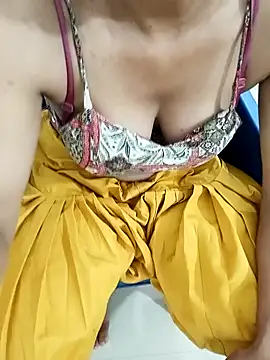 Sony-rani webcam