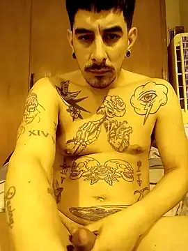 catapijon webcam