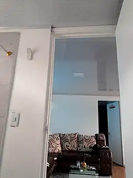 _pamela_smith_ webcam